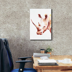 'Rhino' by Alan Majchrowicz, Giclee Canvas Wall Art,18x26