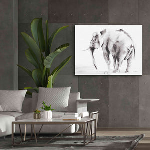 'Lone Elephant Gray' by Alan Majchrowicz, Giclee Canvas Wall Art,54x40