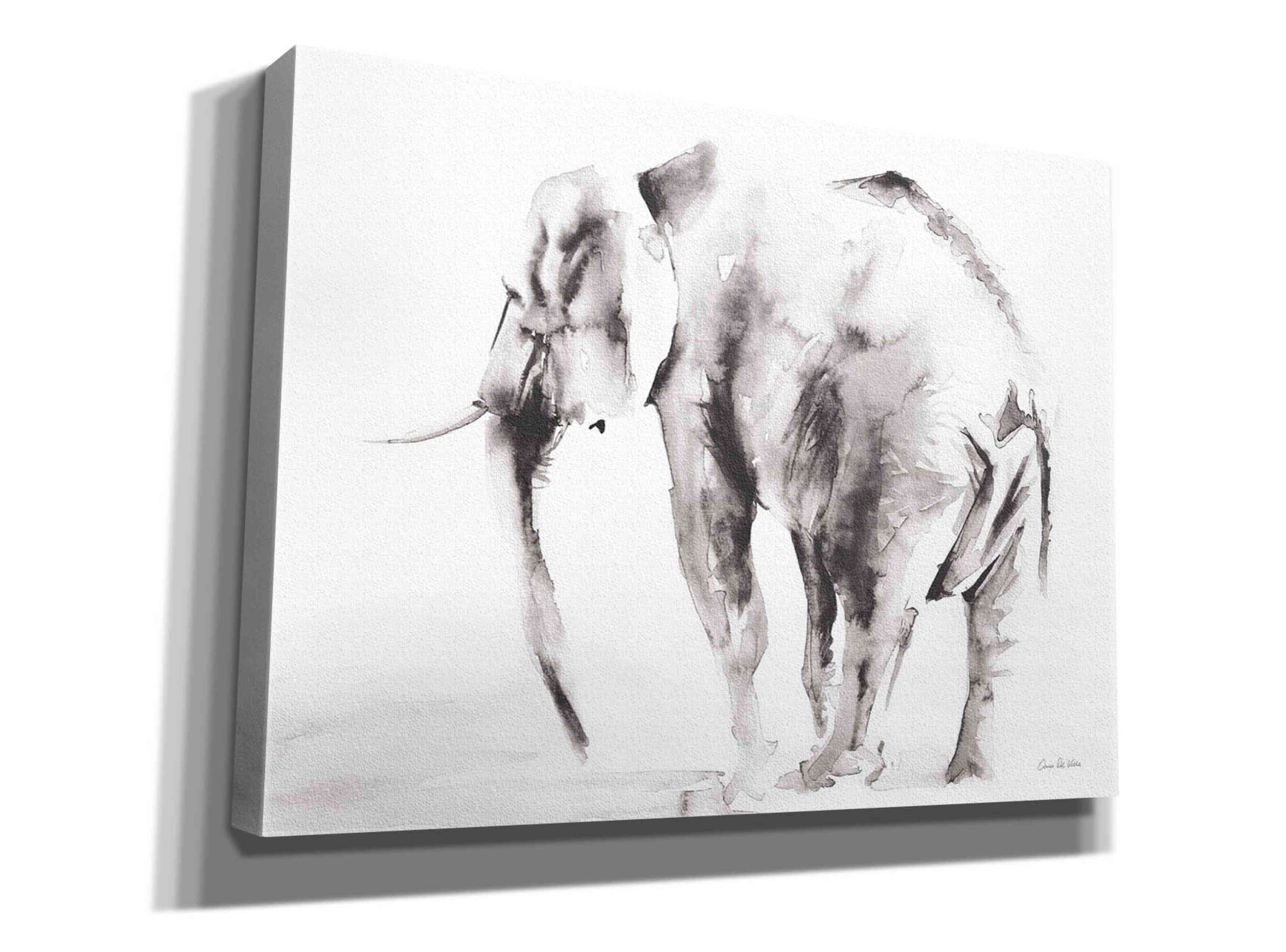 'Lone Elephant Gray' by Alan Majchrowicz, Giclee Canvas Wall Art