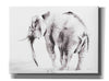 'Lone Elephant Gray' by Alan Majchrowicz, Giclee Canvas Wall Art