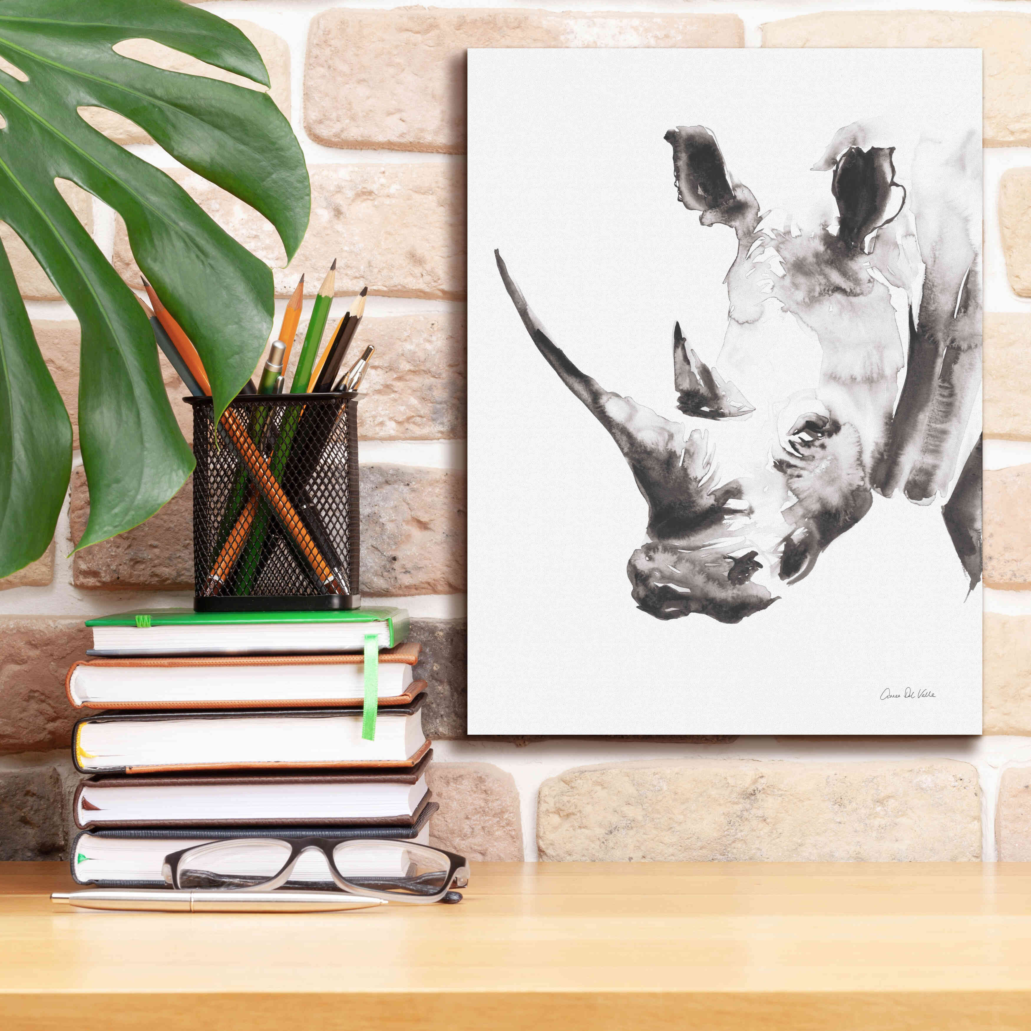 'Rhino Gray' by Alan Majchrowicz, Giclee Canvas Wall Art,12x16