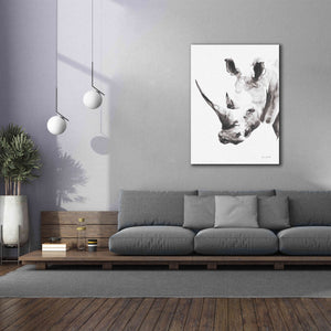 'Rhino Gray' by Alan Majchrowicz, Giclee Canvas Wall Art,40x54