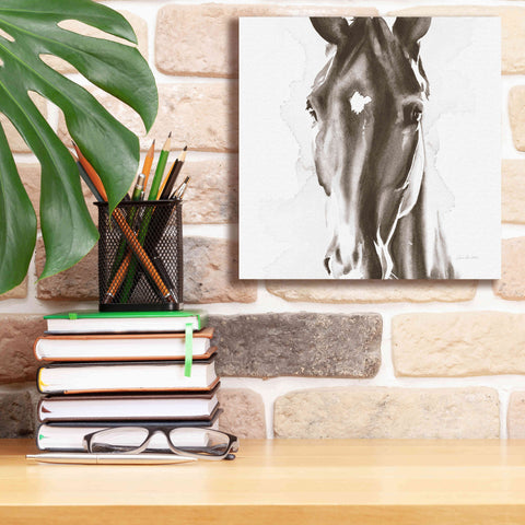 Image of 'Le Cheval Noir Brown' by Alan Majchrowicz, Giclee Canvas Wall Art,12x12