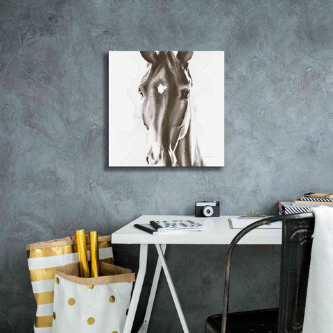 Image of 'Le Cheval Noir Brown' by Alan Majchrowicz, Giclee Canvas Wall Art,18x18