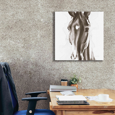Image of 'Le Cheval Noir Brown' by Alan Majchrowicz, Giclee Canvas Wall Art,26x26