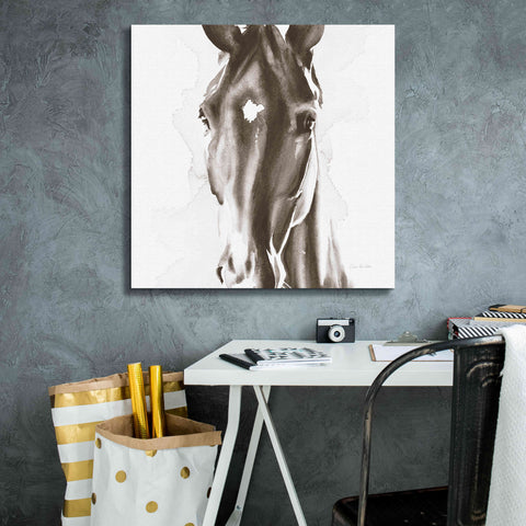 Image of 'Le Cheval Noir Brown' by Alan Majchrowicz, Giclee Canvas Wall Art,26x26