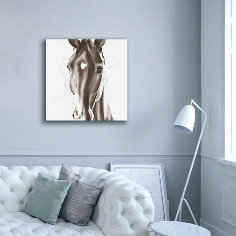 Image of 'Le Cheval Noir Brown' by Alan Majchrowicz, Giclee Canvas Wall Art,37x37