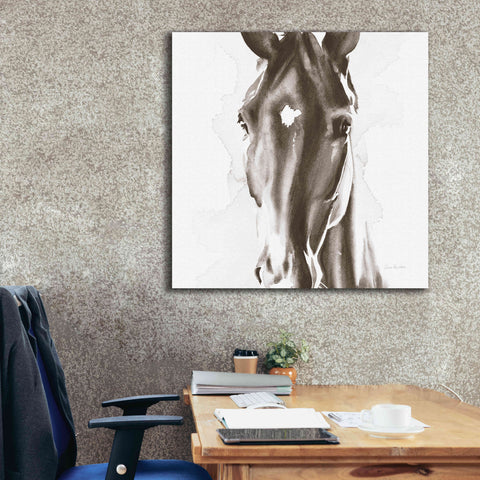 Image of 'Le Cheval Noir Brown' by Alan Majchrowicz, Giclee Canvas Wall Art,37x37
