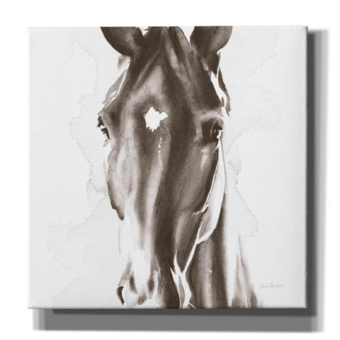 Image of 'Le Cheval Noir Brown' by Alan Majchrowicz, Giclee Canvas Wall Art