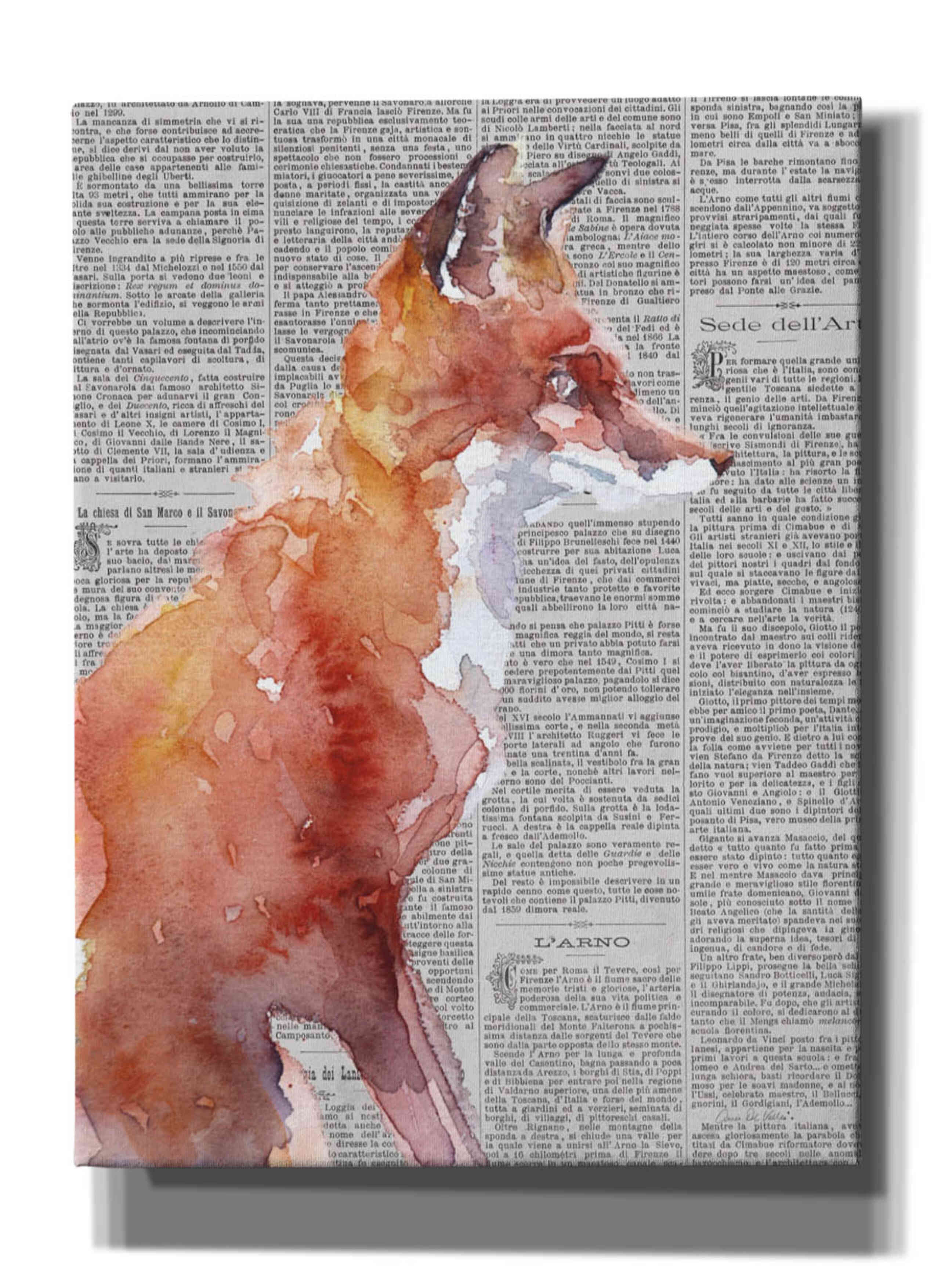 'Sly As A Fox Newsprint' by Alan Majchrowicz, Giclee Canvas Wall Art