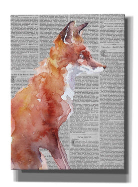 'Sly As A Fox Newsprint' by Alan Majchrowicz, Giclee Canvas Wall Art