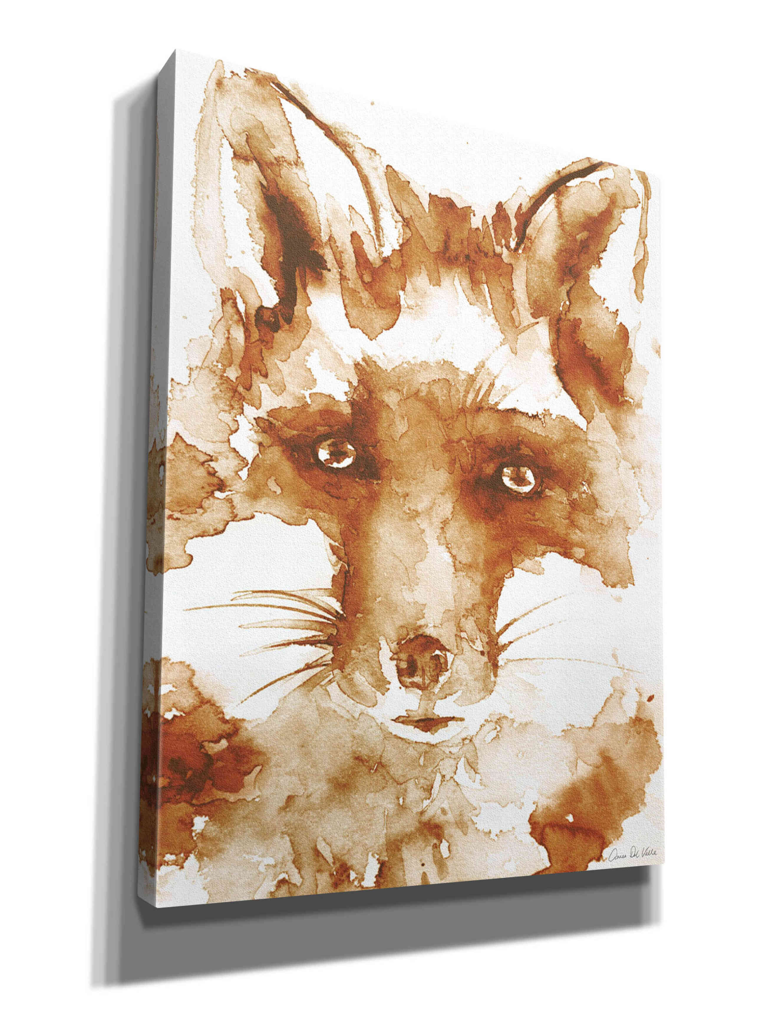 'Sweet And Sour Brown' by Alan Majchrowicz, Giclee Canvas Wall Art