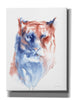 'Copper And Blue Lioness' by Alan Majchrowicz, Giclee Canvas Wall Art