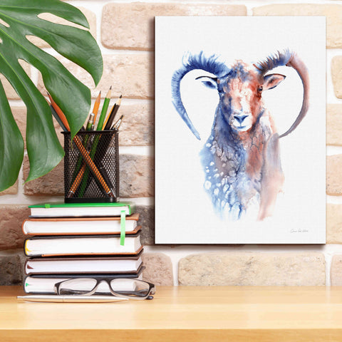 Image of 'Copper And Blue Ram' by Alan Majchrowicz, Giclee Canvas Wall Art,12x16