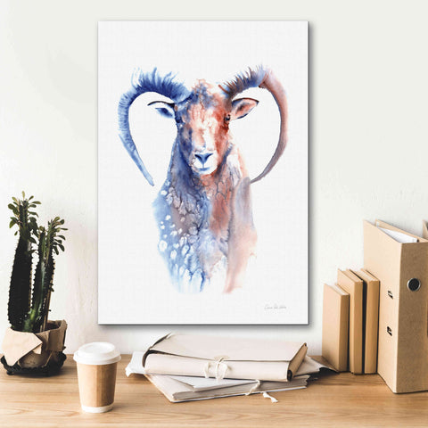 Image of 'Copper And Blue Ram' by Alan Majchrowicz, Giclee Canvas Wall Art,18x26