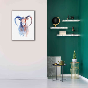 'Copper And Blue Ram' by Alan Majchrowicz, Giclee Canvas Wall Art,26x34