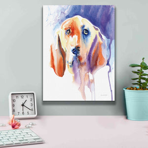 'Basset Hound' by Alan Majchrowicz, Giclee Canvas Wall Art,12x16