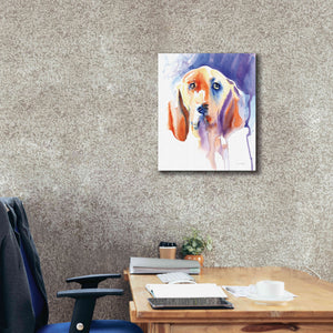 'Basset Hound' by Alan Majchrowicz, Giclee Canvas Wall Art,20x24