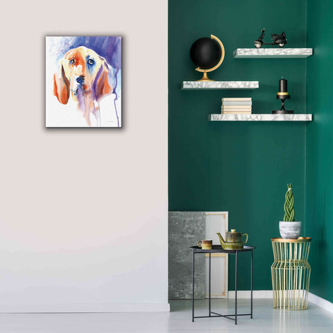 Image of 'Basset Hound' by Alan Majchrowicz, Giclee Canvas Wall Art,20x24