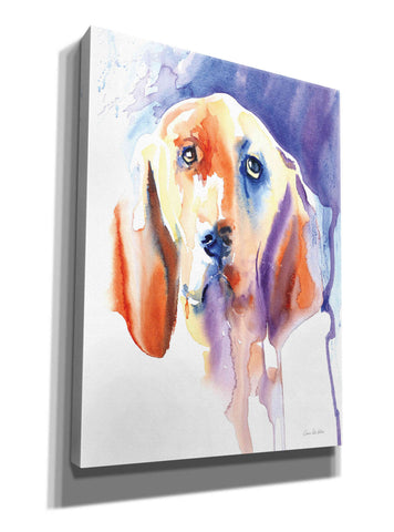 Image of 'Basset Hound' by Alan Majchrowicz, Giclee Canvas Wall Art