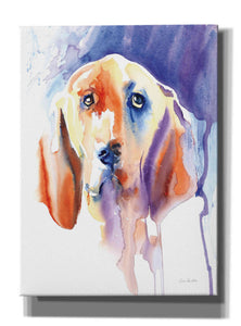 'Basset Hound' by Alan Majchrowicz, Giclee Canvas Wall Art