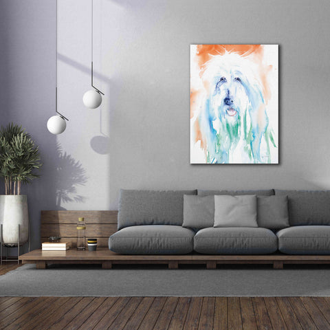 Image of 'Sheep Dog' by Alan Majchrowicz, Giclee Canvas Wall Art,40x54