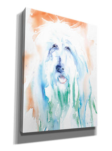 'Sheep Dog' by Alan Majchrowicz, Giclee Canvas Wall Art