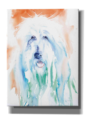 Image of 'Sheep Dog' by Alan Majchrowicz, Giclee Canvas Wall Art