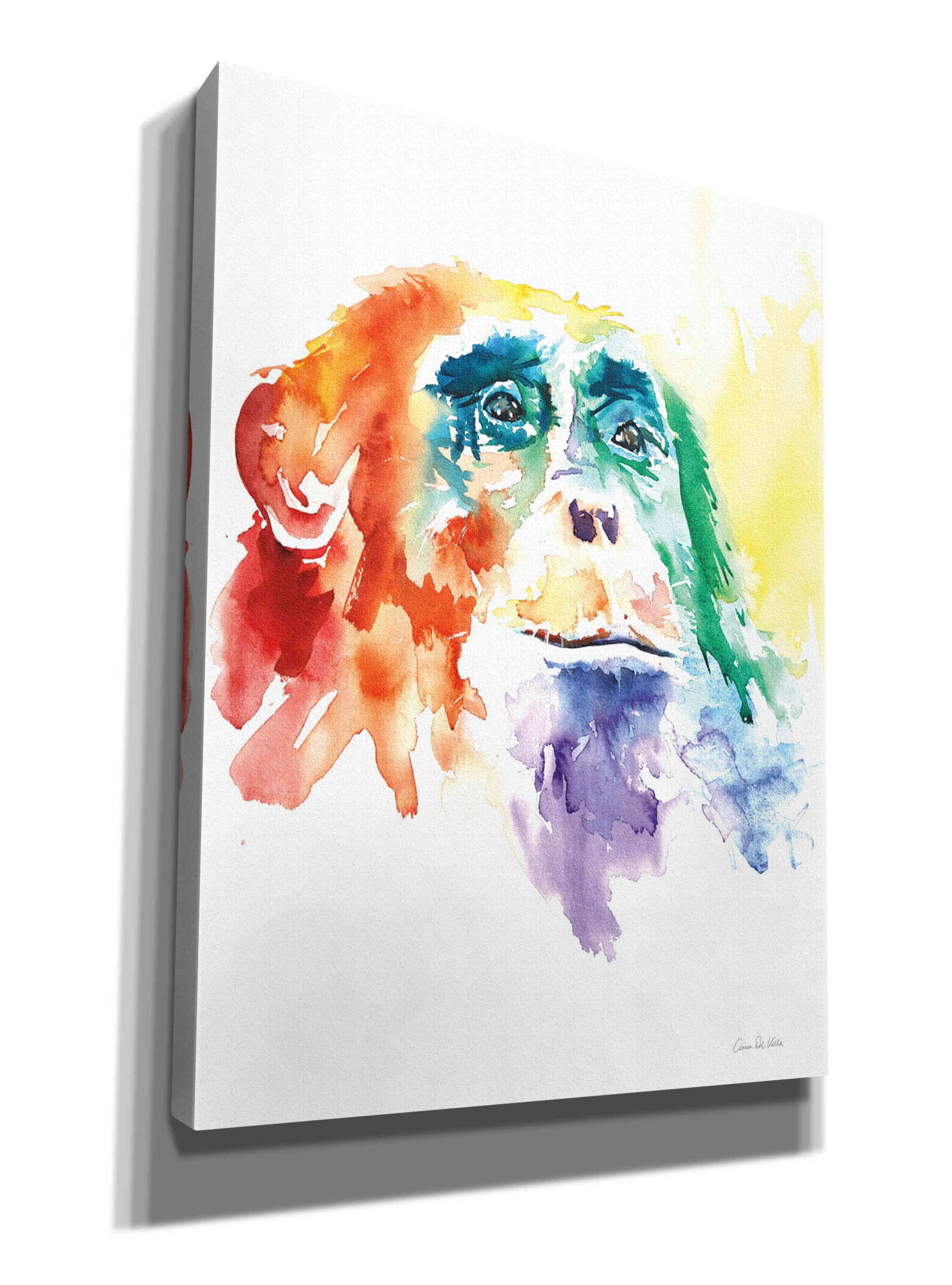 'Chimpanzee I' by Alan Majchrowicz, Giclee Canvas Wall Art