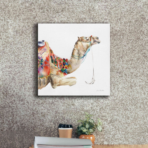 Image of 'Desert Camel I' by Alan Majchrowicz, Giclee Canvas Wall Art,18x18