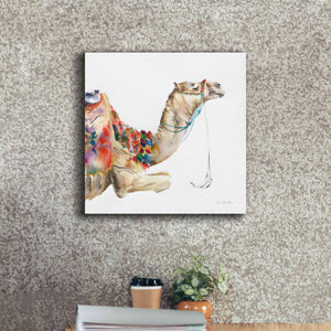 'Desert Camel I' by Alan Majchrowicz, Giclee Canvas Wall Art,18x18