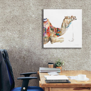 'Desert Camel I' by Alan Majchrowicz, Giclee Canvas Wall Art,26x26