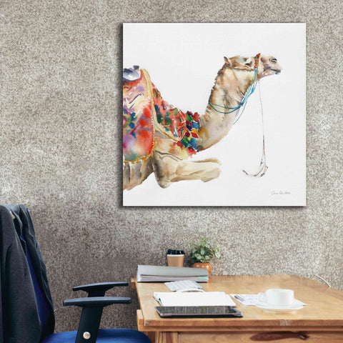 Image of 'Desert Camel I' by Alan Majchrowicz, Giclee Canvas Wall Art,37x37