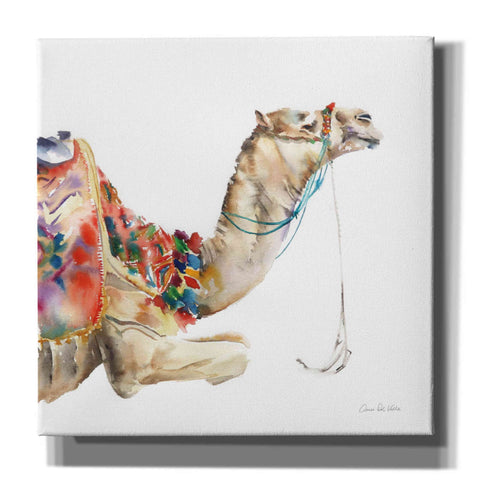Image of 'Desert Camel I' by Alan Majchrowicz, Giclee Canvas Wall Art