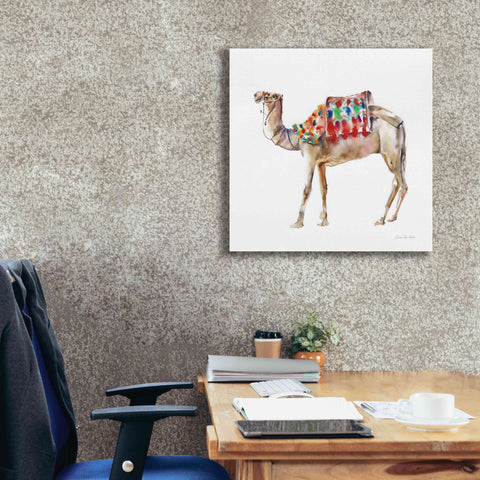 Image of 'Desert Camel II' by Alan Majchrowicz, Giclee Canvas Wall Art,26x26