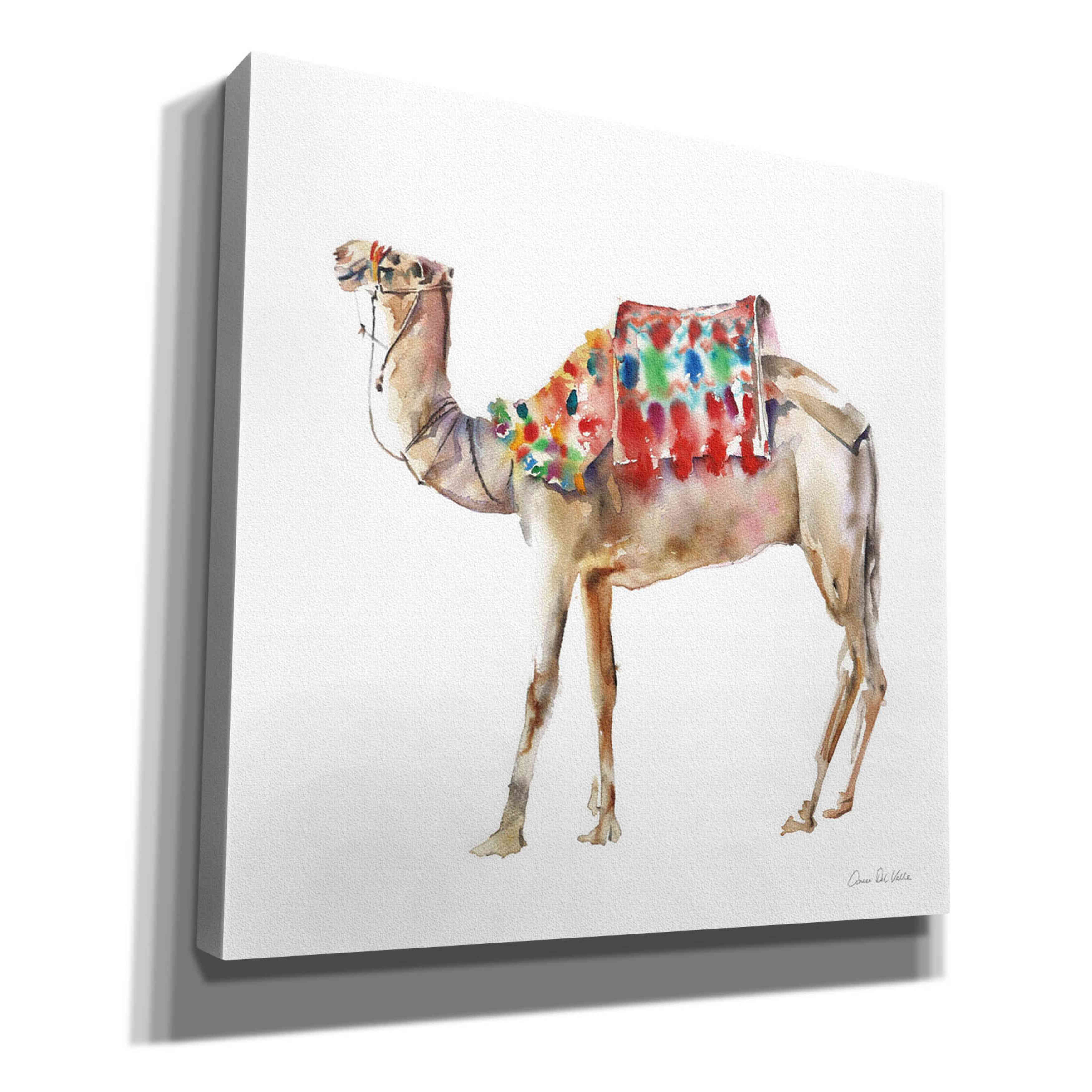 'Desert Camel II' by Alan Majchrowicz, Giclee Canvas Wall Art
