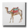 'Desert Camel II' by Alan Majchrowicz, Giclee Canvas Wall Art
