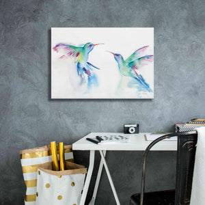 'Hummingbirds I' by Alan Majchrowicz, Giclee Canvas Wall Art,26x18