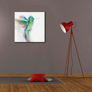 'Hummingbirds II' by Alan Majchrowicz, Giclee Canvas Wall Art,26x26