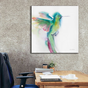 'Hummingbirds II' by Alan Majchrowicz, Giclee Canvas Wall Art,37x37