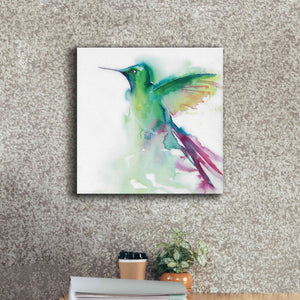 'Hummingbirds III' by Alan Majchrowicz, Giclee Canvas Wall Art,18x18