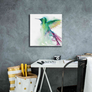 'Hummingbirds III' by Alan Majchrowicz, Giclee Canvas Wall Art,18x18