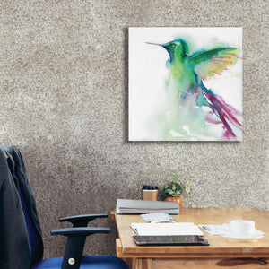 'Hummingbirds III' by Alan Majchrowicz, Giclee Canvas Wall Art,26x26