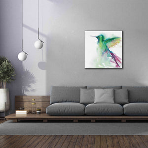 'Hummingbirds III' by Alan Majchrowicz, Giclee Canvas Wall Art,37x37