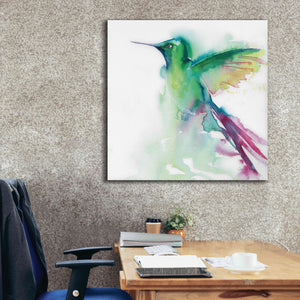 'Hummingbirds III' by Alan Majchrowicz, Giclee Canvas Wall Art,37x37