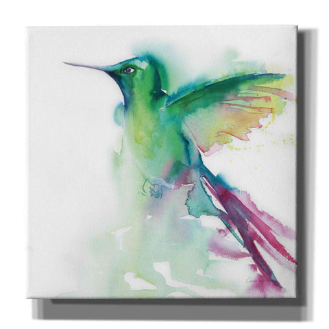 Image of 'Hummingbirds III' by Alan Majchrowicz, Giclee Canvas Wall Art