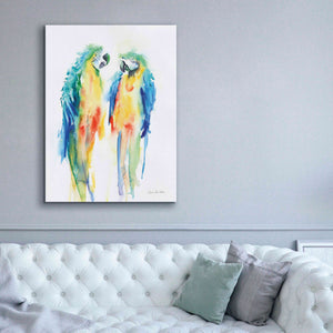 'Colorful Parrots I' by Alan Majchrowicz, Giclee Canvas Wall Art,40x54