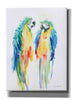 'Colorful Parrots I' by Alan Majchrowicz, Giclee Canvas Wall Art
