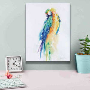 'Colorful Parrots II' by Alan Majchrowicz, Giclee Canvas Wall Art,12x16