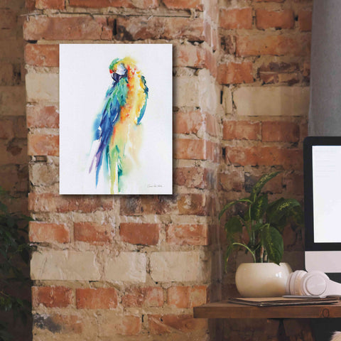 Image of 'Colorful Parrots II' by Alan Majchrowicz, Giclee Canvas Wall Art,12x16